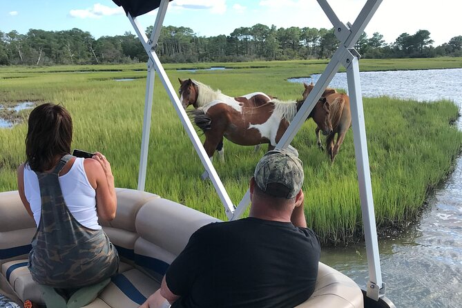 Chincoteague's Up The Bay Pony and Wildlife Tour by Boat - Why the water is the right place to search for ponies