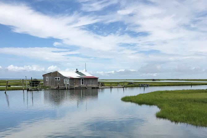 Chincoteague's Up The Bay Pony and Wildlife Tour by Boat - Is the $75 price fair?