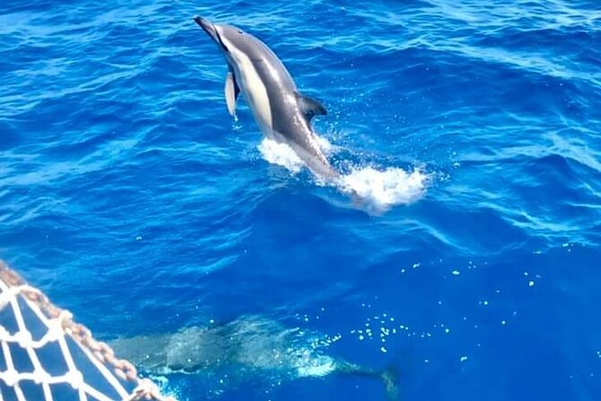 Classic Boat Tour in Palermo - Swimming and aperitivo near Mondello Bay