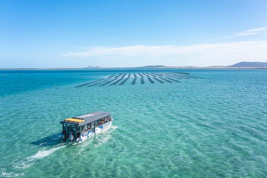 Coffin Bay: Oyster Farm Boat Tour with Wading & 12 Oysters - FAQ