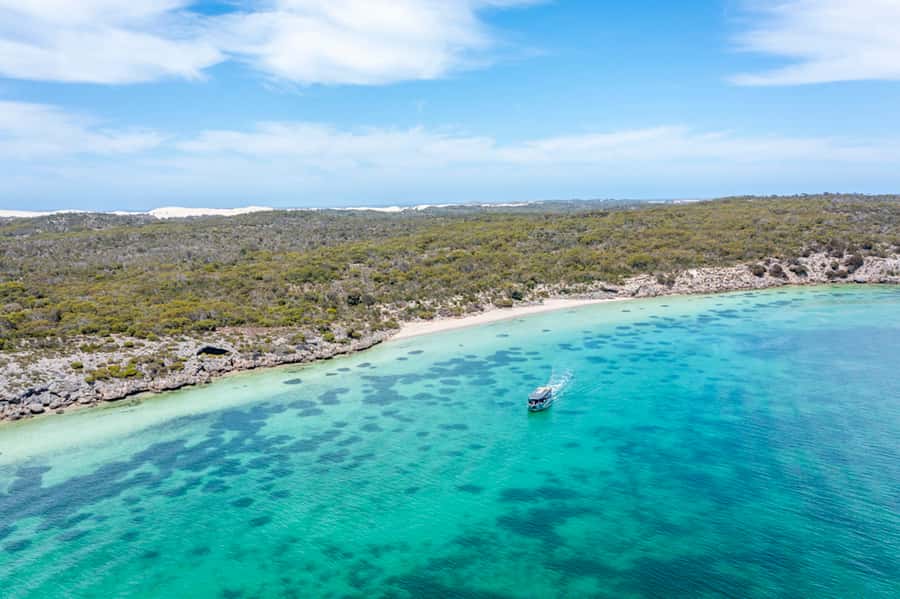 Coffin Bay: Oyster Farm Boat Tour with Wading & 12 Oysters - Why the guide makes a difference