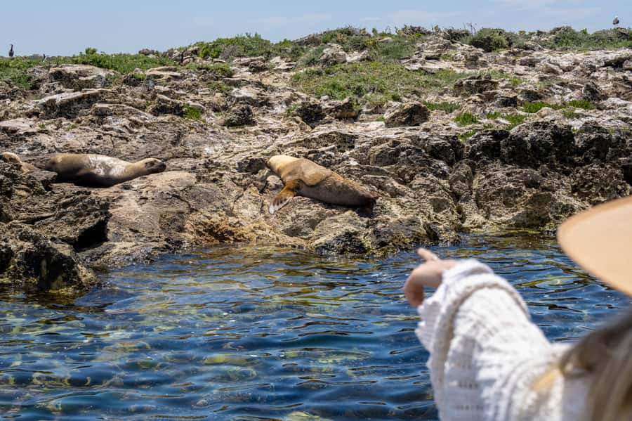 Coffin Bay: Oyster Farm Boat Tour with Wading & 12 Oysters - The boat ride and views