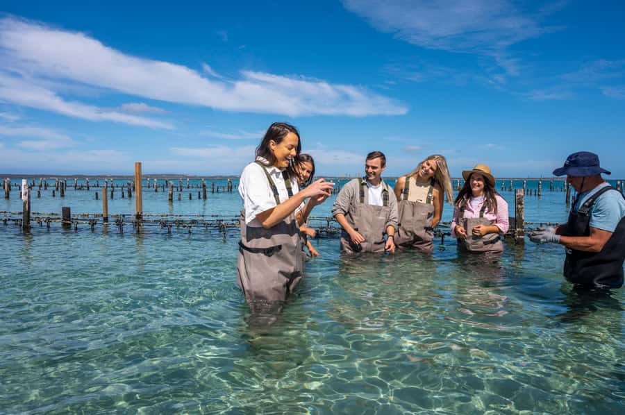 Coffin Bay: Oyster Farm Boat Tour with Wading & 12 Oysters - Booking and practical details