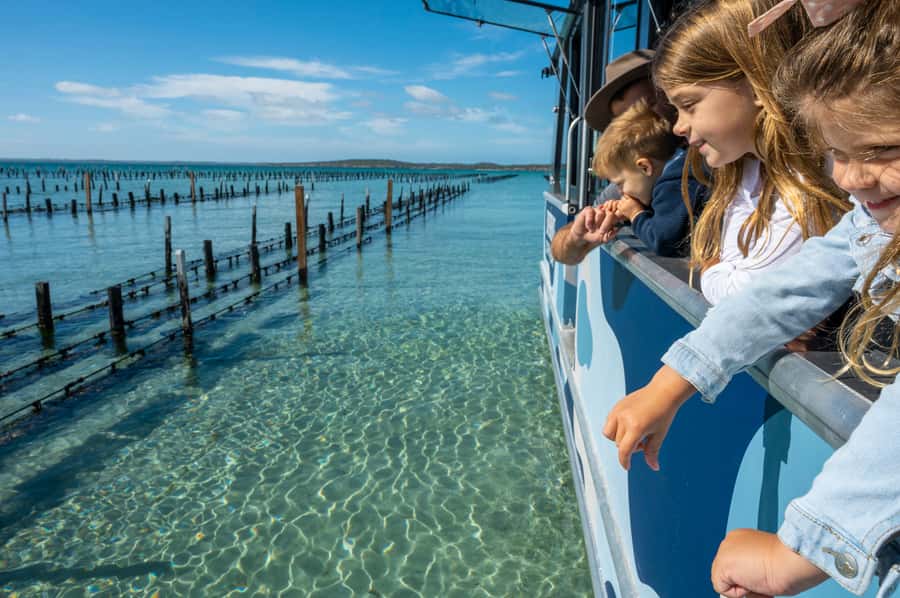 Coffin Bay: Oyster Farm Boat Tour with Wading & 12 Oysters - Should you book the Coffin Bay oyster farm boat tour?