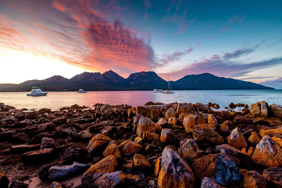Coles Bay: Wineglass Bay Adults-Only Cruise with Lunch - Morning Tea, Oysters, and a Ploughman’s Lunch