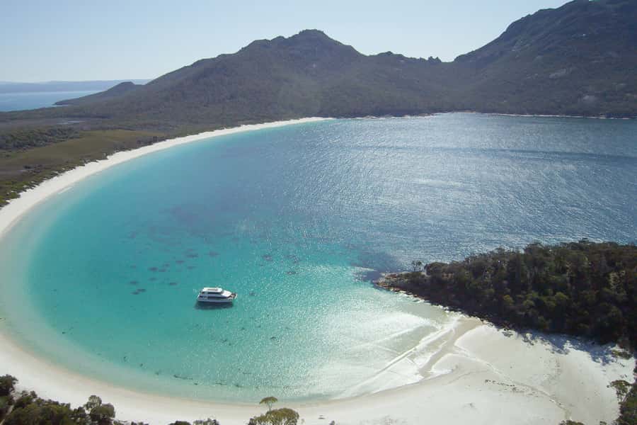 Coles Bay: Wineglass Bay Adults-Only Cruise with Lunch - Wildlife Along the Freycinet Peninsula