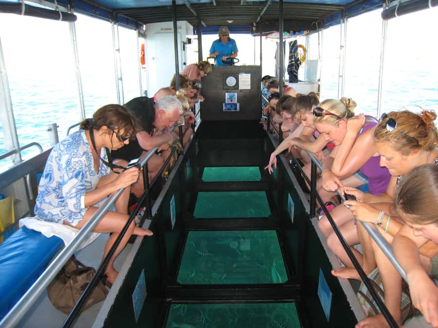 Coral Bay Glass-Bottom Boat Tour - Key points to know before you book