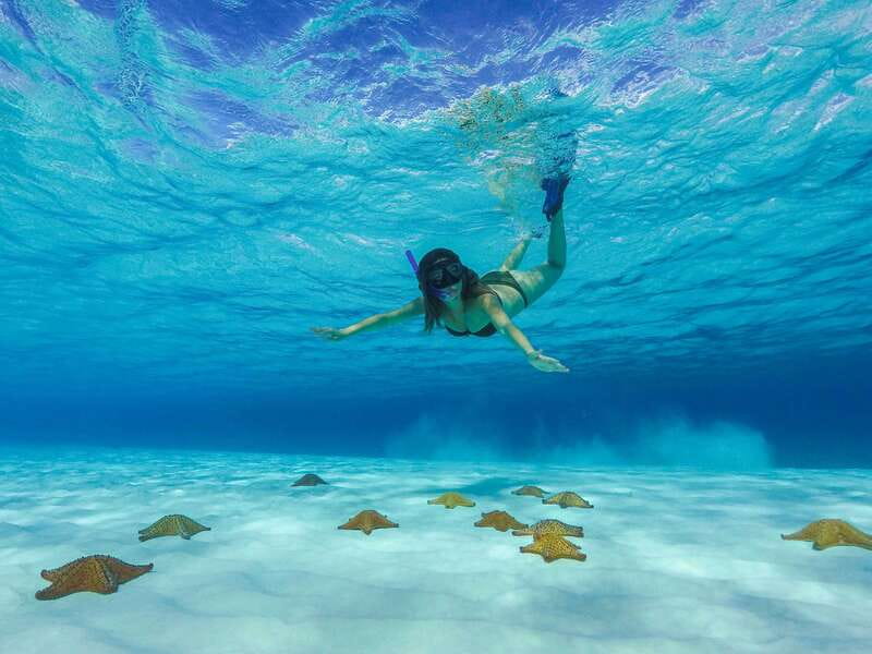Cozumel: Catamaran, El Cielo Bay & Palancar Reef with Lunch - Should you book the Palancar and El Cielo trip?