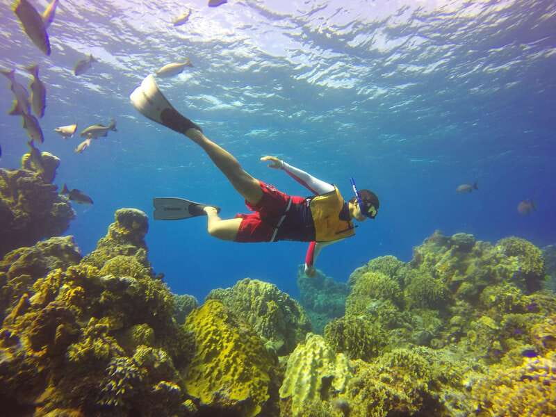 Cozumel: Catamaran, El Cielo Bay & Palancar Reef with Lunch - Two famous Cozumel stops in one outing