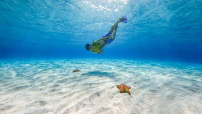Cozumel: Catamaran, El Cielo Bay & Palancar Reef with Lunch