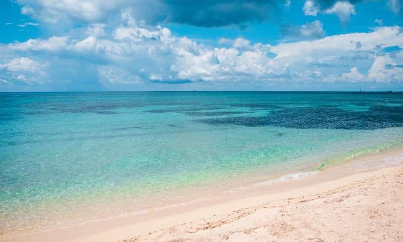 Cozumel: Catamaran, El Cielo Bay & Palancar Reef with Lunch - El Cielo Bay and its starfish