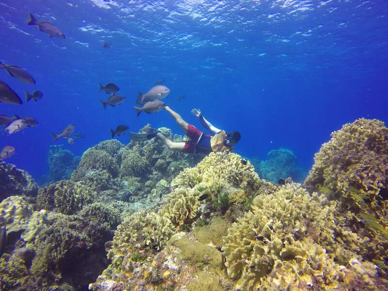 Cozumel: Catamaran, El Cielo Bay & Palancar Reef with Lunch - The long ride back and what it means