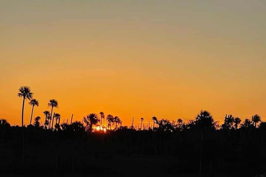 Crystal River: Sunset Cruise in Kings Bay - Captains who make the short trip better