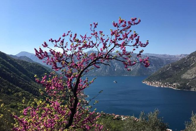 Cycling and hiking short tour through the bay of Kotor - What the private format is worth