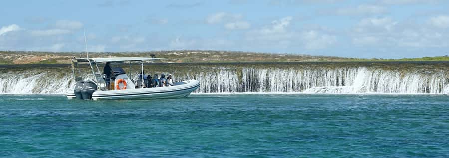 Cygnet Bay Unique Tidal Waterfall Reefs Scenic Cruise - Key points to know before you go
