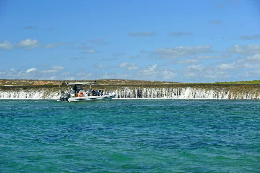 Cygnet Bay Unique Tidal Waterfall Reefs Scenic Cruise - Starting at Cygnet Bay Pearl Farm