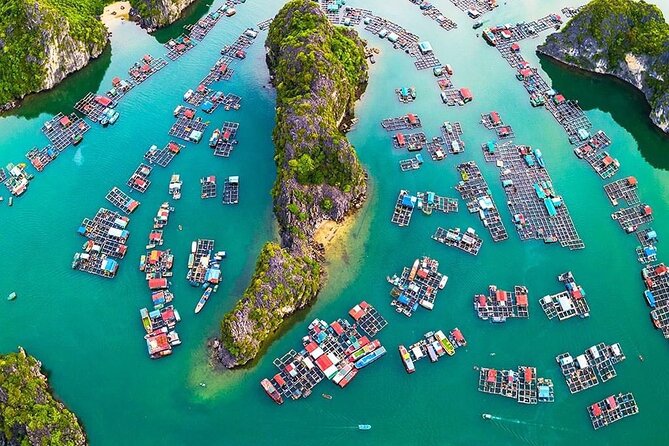 D'Charme Luxury Day Cruise Discover the MOST Stunning Lan Ha Bay - What the $48.36 price really covers