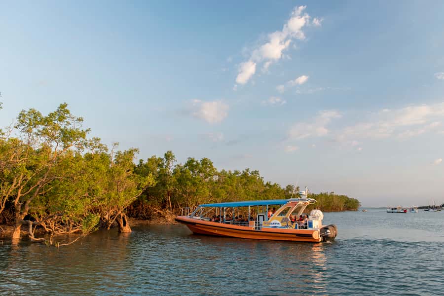 Darwin Harbour Cruise - The sandbar stop when conditions line up