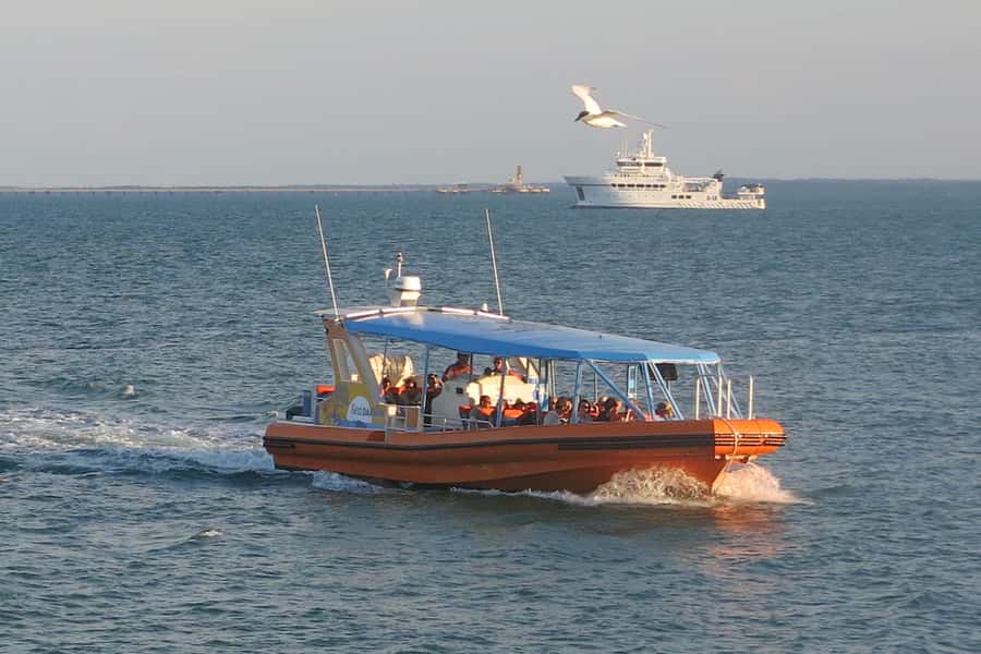 Darwin Harbour Cruise - Fisherman’s Wharf and the working waterfront