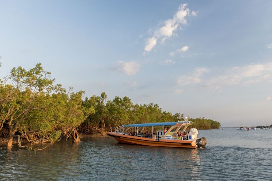 Darwin Harbour Cruise - Who will enjoy this Darwin Harbour experience most?