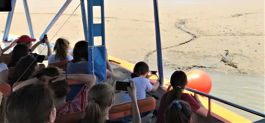 Darwin Harbour Cruise - Mangroves, birds, and the harbour’s tidal character