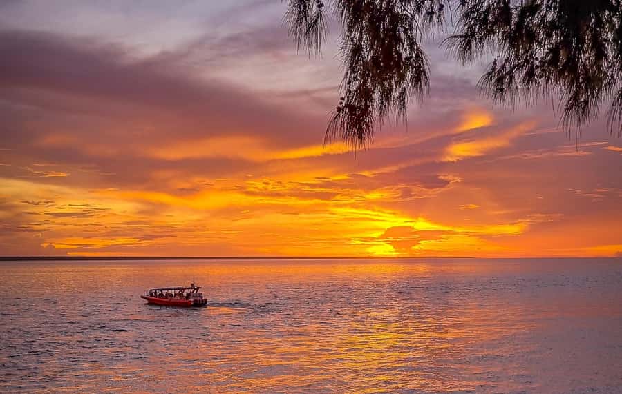 Darwin: Sunset Harbour Cruise with Fish and Chips Dinner - Key points at a glance