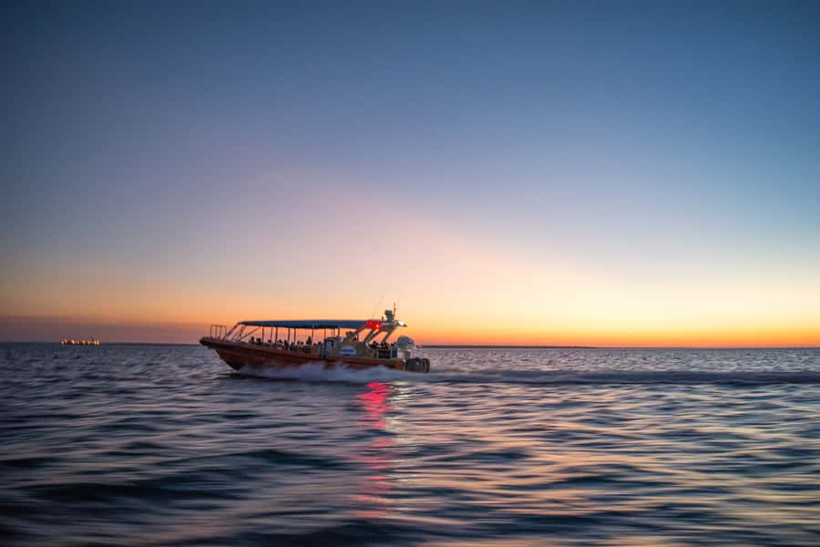 Darwin: Sunset Harbour Cruise with Fish and Chips Dinner - Local stories while Darwin slips by