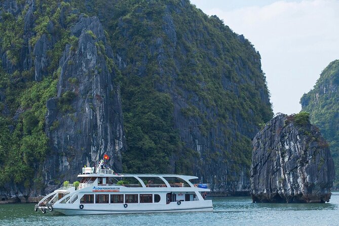 DELUXE Halong Cruise 1 Day Tour From Hanoi - Daily Operated - What the $50 Price Really Covers