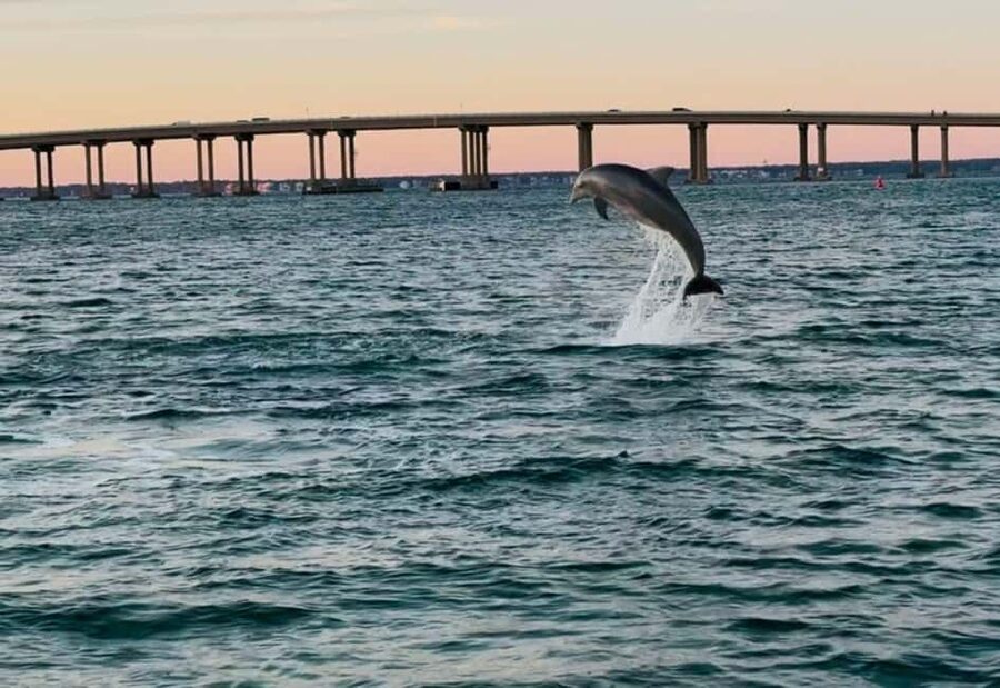 Destin: 90-Minute Boat Ride With Cruise Destin Bay - Key points to know before you book
