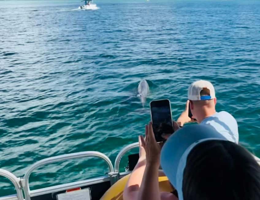 Destin: 90-Minute Boat Ride With Cruise Destin Bay - A small pontoon instead of a crowded sightseeing boat