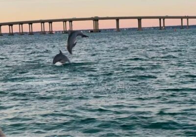 90-Minute Boat Ride With Cruise Destin Bay