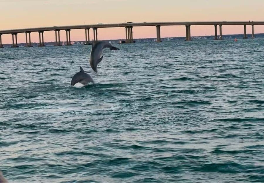 Destin: 90-Minute Boat Ride With Cruise Destin Bay - Meeting at East Dock, Slip #1