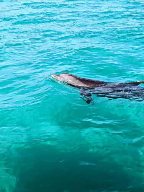Destin: Public 3 Hour Crab Island and Harbor Tour - Leaving Heron Harbor and Cruising the Waterway