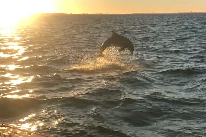 Destin's Floating Tiki Bar Cruise: 360° Harbor Views - Dolphins, photos, and the right expectations