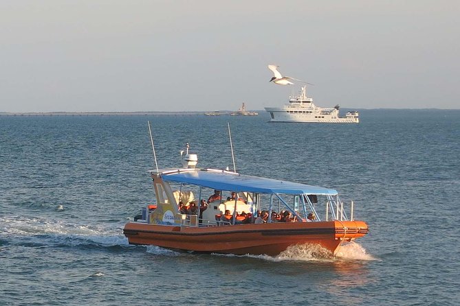 Discover Darwin Harbour 1 hour Darwin Harbour Cruise - Why Darwin Harbour tells Darwin’s story so well