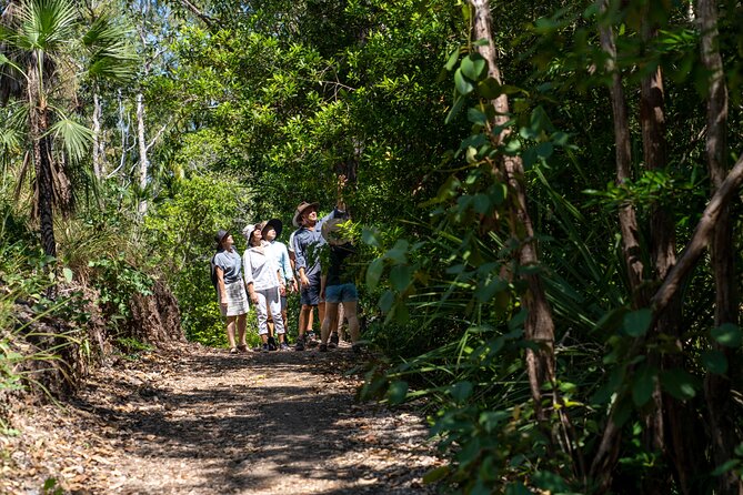 Discover Darwin Harbour 1 hour Darwin Harbour Cruise - The boat, group size, and comfort