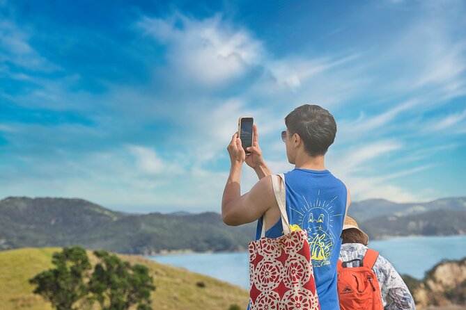 Discover the Bay - Hole in the Rock cruise includes Island Lunch - Dolphins, penguins, seals, and seabirds