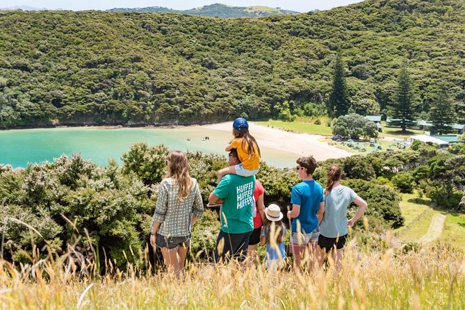 Discover the Bay - Hole in the Rock cruise includes Island Lunch - Is the $117.91 price good value?