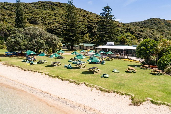 Discover the Bay - Hole in the Rock cruise includes Island Lunch - What to bring and how to handle the sea