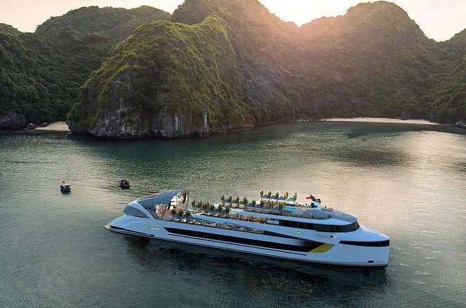 Dolphin Cruise – Experience Halong Bay in Timeless Luxury - Luon Cave by kayak or bamboo boat