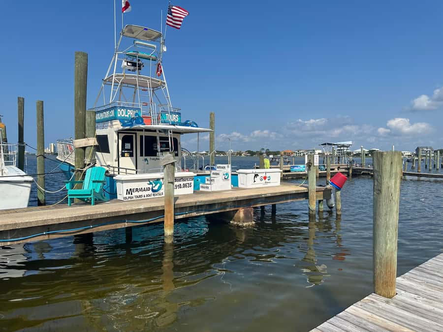 Dolphin & Scenic Bay Sightseeing Cruise Up to 49, Pensacola - The 1.5-hour cruise around the bay
