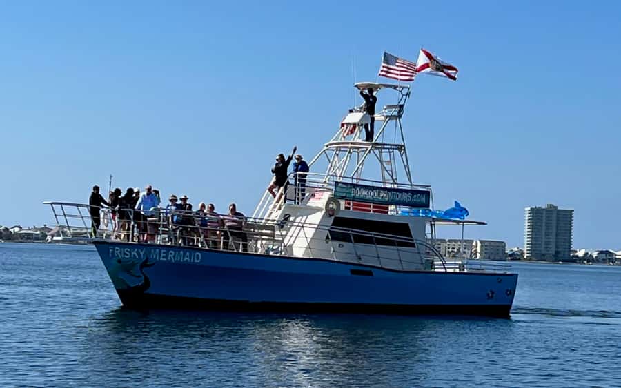 Dolphin & Scenic Bay Sightseeing Cruise Up to 49, Pensacola - Dolphin sightings and the wildlife search