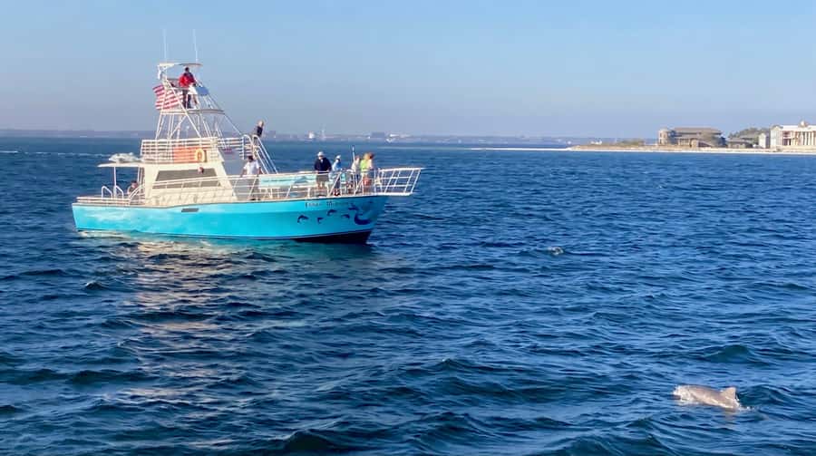 Dolphin & Scenic Bay Sightseeing Cruise Up to 49, Pensacola - Is $50 a fair price?