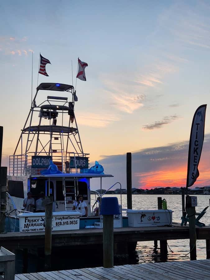 Dolphin & Scenic Bay Sightseeing Cruise Up to 49, Pensacola - Who will enjoy this cruise most?