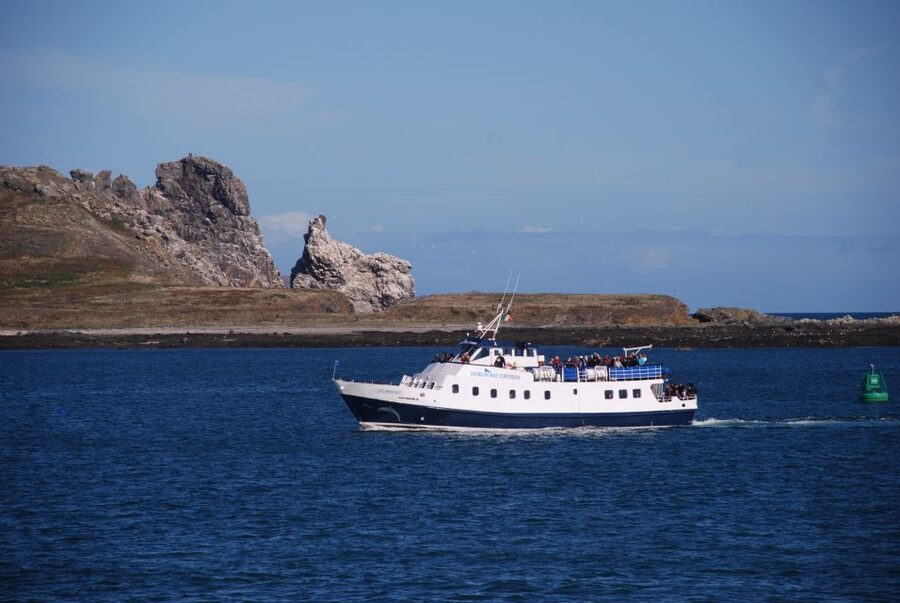 Dublin: Dublin Bay Cruise from Howth to Dun Laoghaire - Ireland’s Eye and Lambay Island to the North