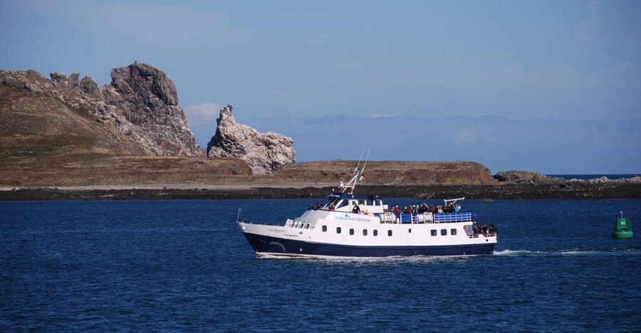 Dublin: Dublin Bay Cruise from Howth to Dun Laoghaire - Baily Lighthouse and Kish Lighthouse