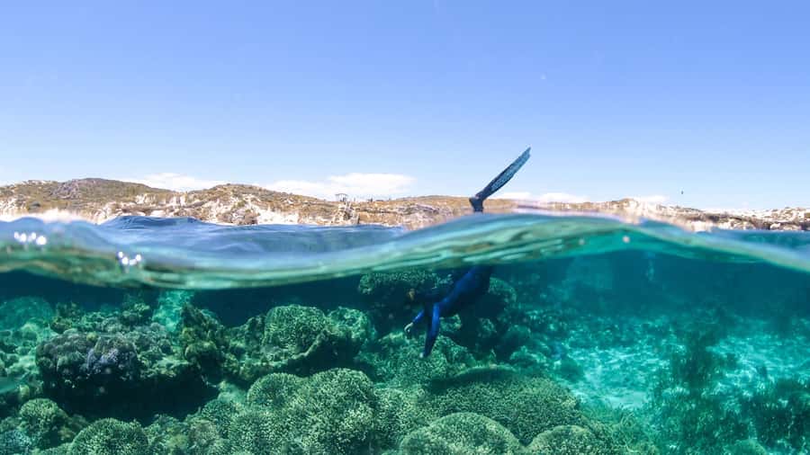 Dunsborough: Geographe Bay Eco & Snorkel Boat Tour - A Two-Hour View of Geographe Bay