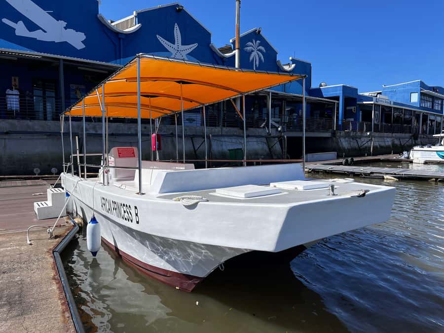 Durban: 30-Minute Harbor Boat Cruise - Skyline views and harbor birdlife