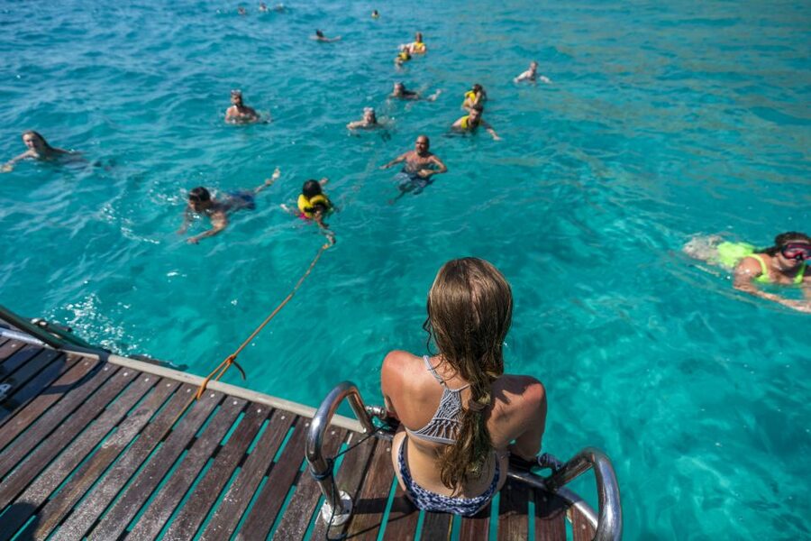 El Arenal, Mallorca: Bay of Palma Boat Tour with Snorkeling - Practical tips for a better outing