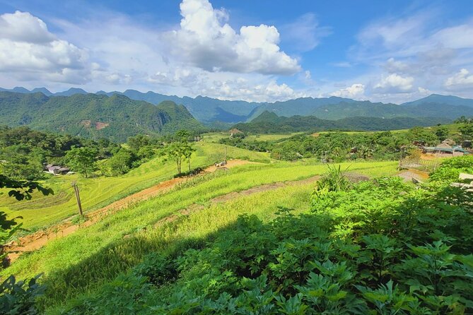 Explore Rice Terrace Pu Luong Ninh Binh Ha Long 4 Days 3 Night - Day 4: Ha Long Bay, Surprise Cave, and the long return